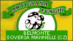 ARTIGIANA FUNGHI - SOVERIA MANNELLI - CZ