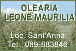 olearia leone maurilia - giffoni sei casali - sa