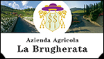 AZIENDA AGRICOLA LA BRUGHERATA - SOCIETA' AGRICOLA LA BRUGHERATA - SCANZOROSCIATE (BG)