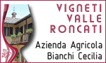 VIGNETI VALLE RONCATI - BRIONA (NO)