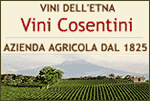 VINI COSENTINI - VINI DELL'ETNA - SANTA VENERINA (CT)