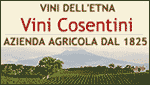 VINI COSENTINI - VINI DELL'ETNA - SANTA VENERINA (CT)